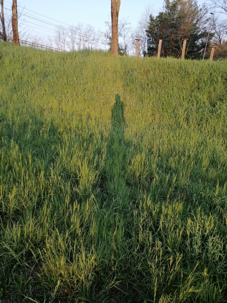 ombra_robertod'izzia_AttoreZen