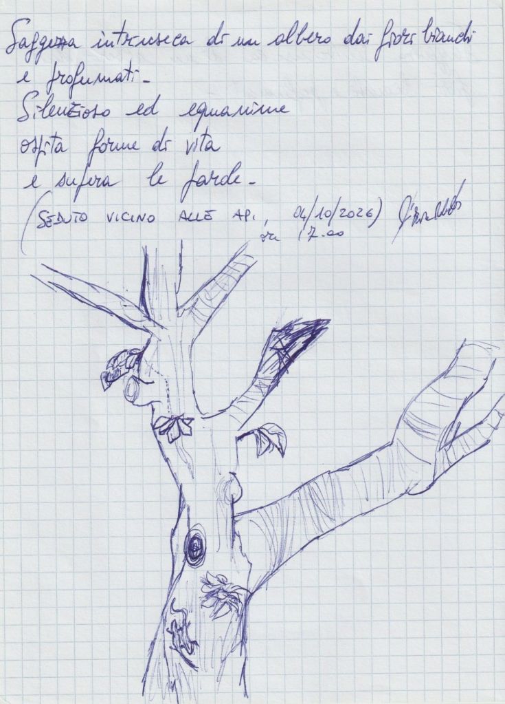 Seduto vicino alle api, poesia zen e disegno a mano libera di Roberto D'Izzia AttoreZen (04/10/2026)